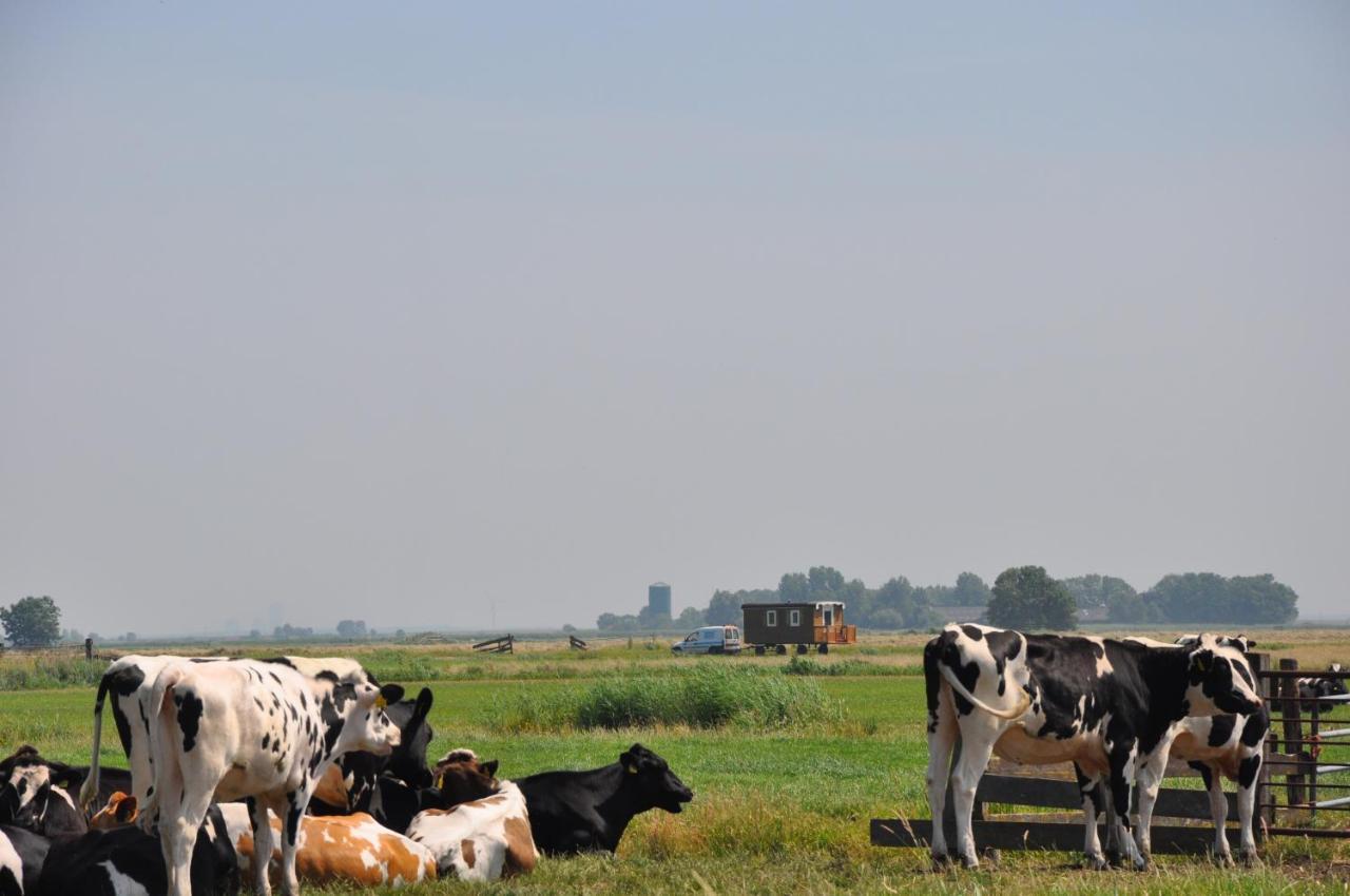 Your Cozy Waggon At The Cows' Paradise Ámsterdam Exterior foto